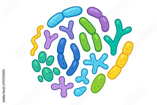 Probiotic bacteria vector set. Gut microbiota and microbiome concept. Healthy prebiotic bacillus, lactobacillus, acidophilus, bifidobacteria. Intestinal flora for good digestion.