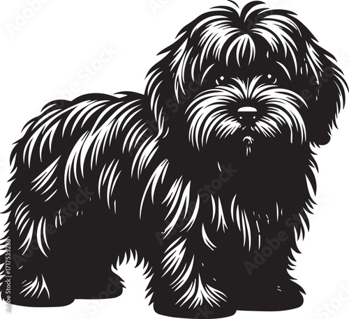 Briard Dog in Black and White – Elegant French Herding Breed Photography