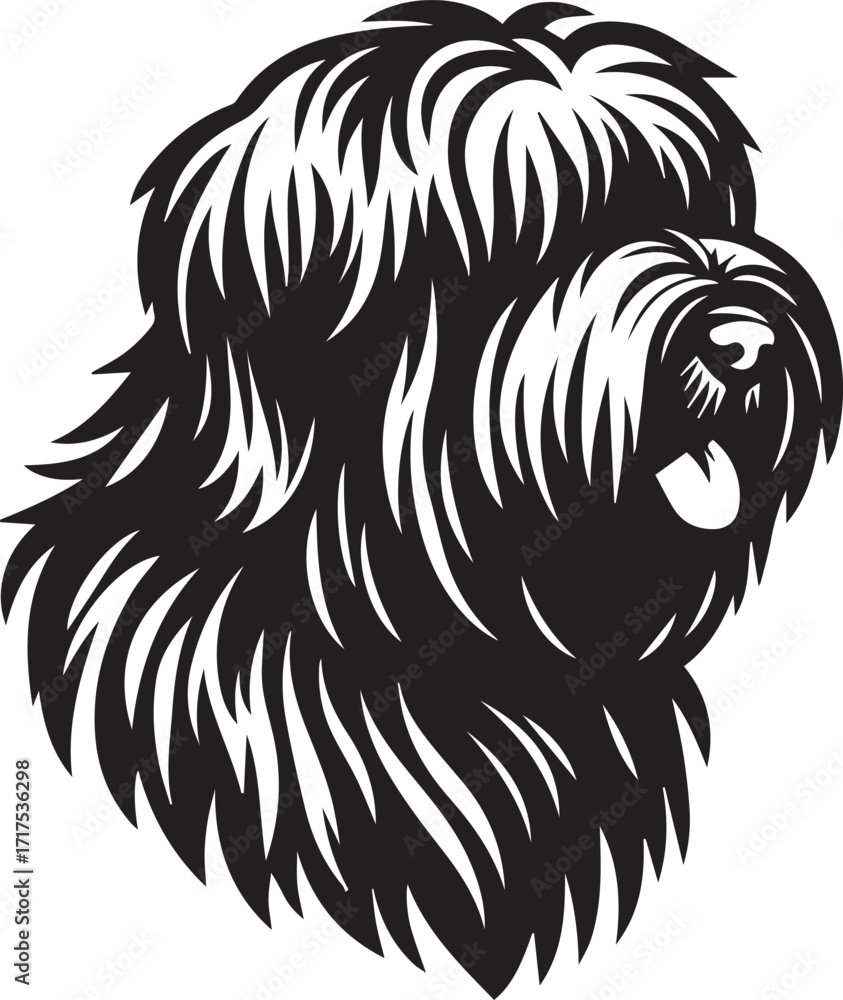 Obraz premium Briard Dog in Black and White – Elegant French Herding Breed Photography