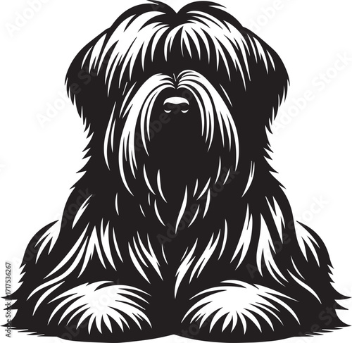 Briard Dog in Black and White – Elegant French Herding Breed Photography