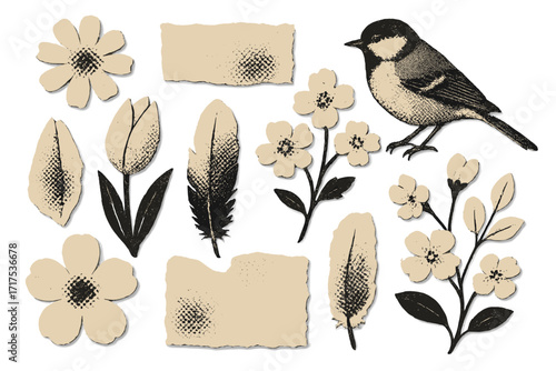 Spring flowers and titmouse bird collage kit. Paper cut out shapes with halftone texture. Retro grunge mixed media vector set for scrapbooking. Floral stickers, feather, torn paper.