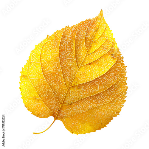  A vibrant yellow leaf 3D rendered png
