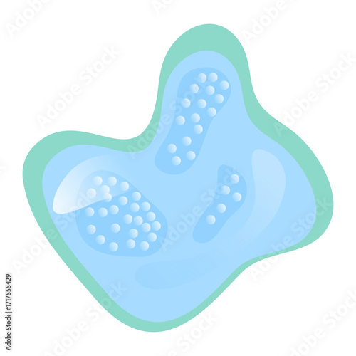 Vacuole structure anatomy, diagram poster. Medical illustration vector. Labeled tonoplast, central vacuole, cell sap. Membrane-bound organelle. Vacuole Illustration