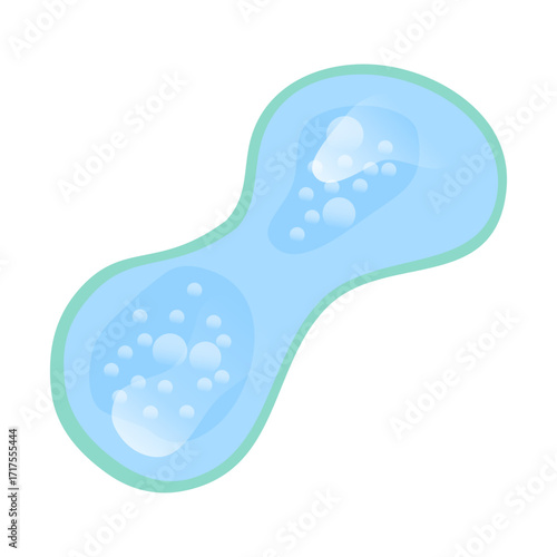 Vacuole structure anatomy, diagram poster. Medical illustration vector. Labeled tonoplast, central vacuole, cell sap. Membrane-bound organelle. Vacuole Illustration