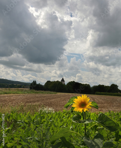 der Rest vom Sommer