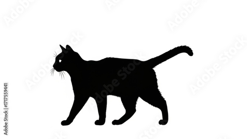 A silhouette of a black cat walking gracefully against a white background, showcasing its elegant form