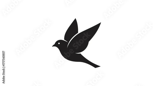 A stylized black bird in flight with spread wings against a white background, symbolizing freedom
