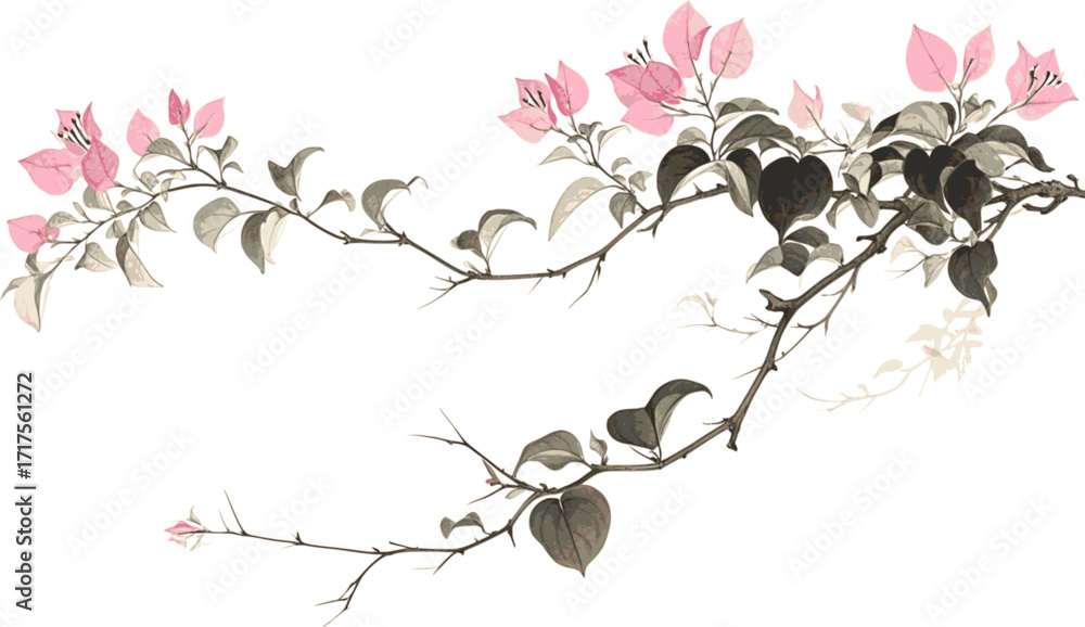 Fototapeta premium Hand-Drawn Bougainvillea linework ink sketch hand drawn pen drawing vector illustration background