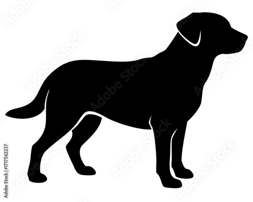 Black Labrador Retriever Silhouette Vector Illustration Minimal Icon Dog Breed Logo Set