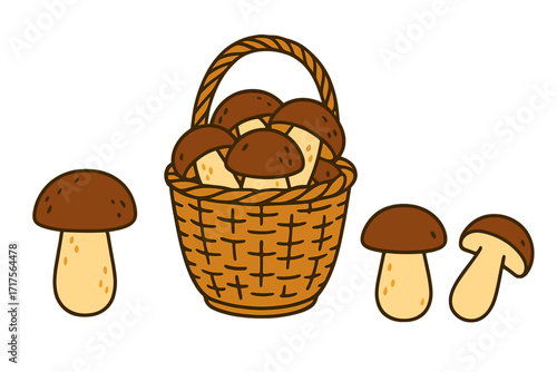 Wicker basket full of porcini mushrooms, cut edible wild forest mushrooms, brown cap fungi, vector flat hand-drawn cartoon illustration, natural organic food concept