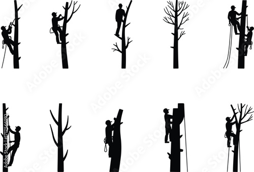 Set of tree climbers silhouettes, arborists working on trees, tree maintenance, professional climbers, pruning, and tree care activities.