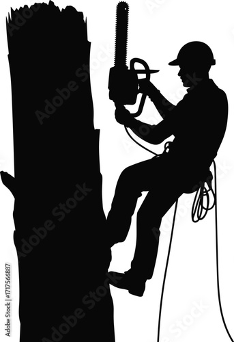 Tree climber using chainsaw for tree cutting, arborist silhouette, professional tree care, pruning and maintenance on tree