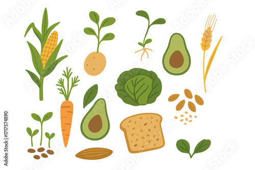 Agriculture elements set of cultivated plants like corn, carrot, avocado, wheat. Wholesome organic food, seeds, sprouts. Healthy nutrition concept. Flat vector illustration isolated.