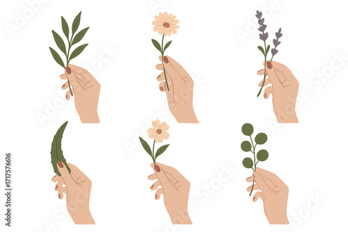 Set of female hands holding flowers, plants. Vector illustration for natural cosmetics, beauty, spa, wellness. Botanical icons collection with lavender, chamomile, aloe, eucalyptus.