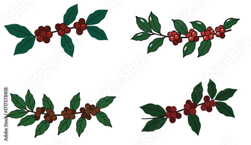 Stylized coffee bean branches with verdant leaves on a clean white backdrop