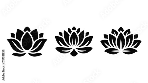 Three black silhouette icons of lotus flowers on a white background image photo