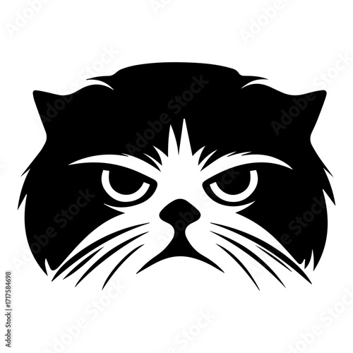 Illustration of a grumpy looking black and white persian cat with a stern expression on its face