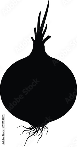 Minimalist silhouette onion root vegetable food ingredient graphic vector