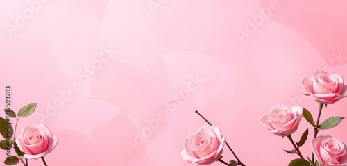 Soft blush to vibrant rose pink gradient backdrop, design, element