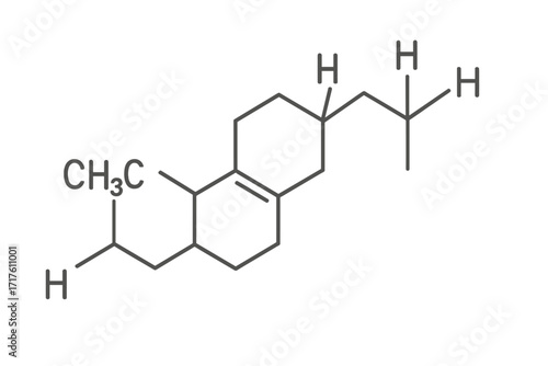Cholesterol molecular structure vector thin line icon, chemical formula illustration with transparent background, organic compound, steroid lipid, health and biology concept