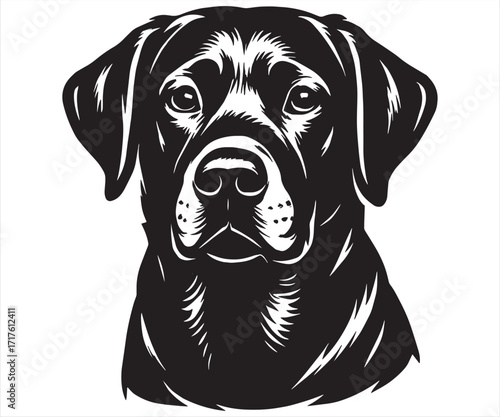 Labrador Retriever Dog Vector Head Illustration