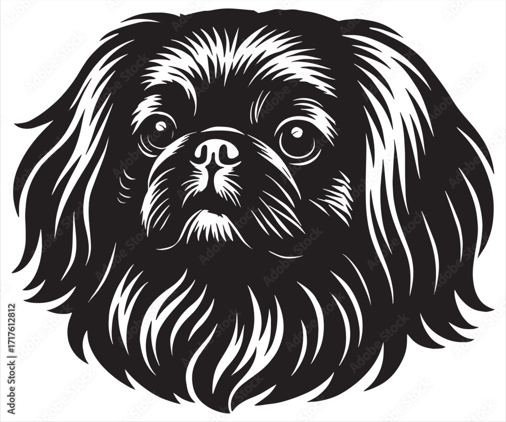 Fototapeta premium Pekingese Dog Vector Portrait Black and White