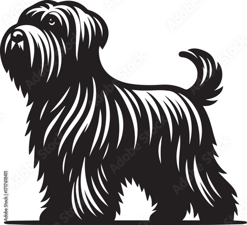 Briard Dog in Black and White – Elegant French Herding Breed Photography