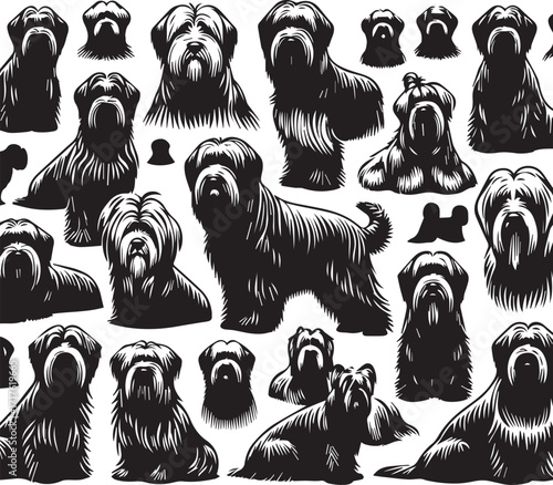 Briard Dog in Black and White – Elegant French Herding Breed Photography