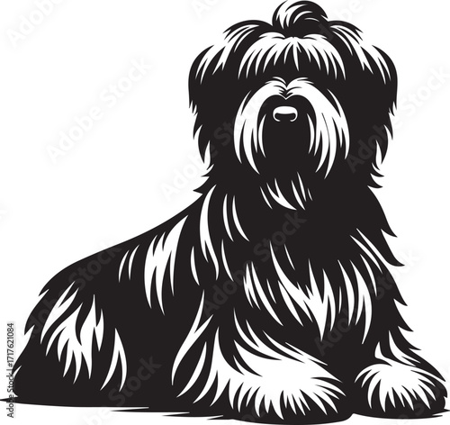 Briard Dog in Black and White – Elegant French Herding Breed Photography