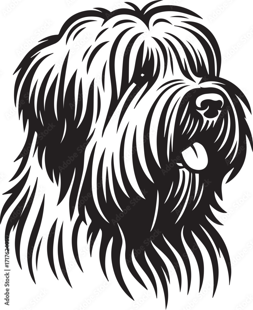 Fototapeta premium Briard Dog in Black and White – Elegant French Herding Breed Photography