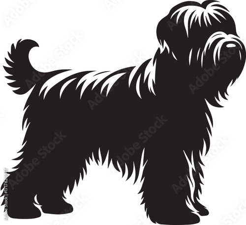 Briard Dog in Black and White – Elegant French Herding Breed Photography