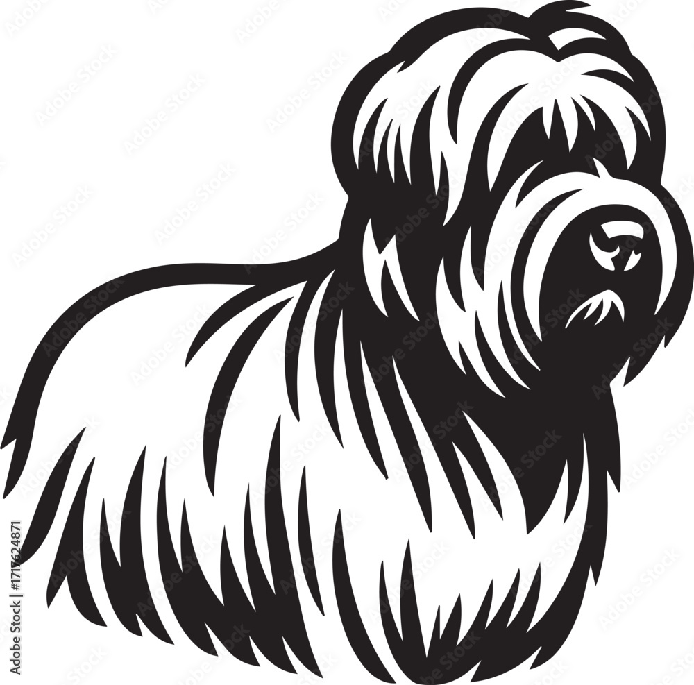 Fototapeta premium Briard Dog in Black and White – Elegant French Herding Breed Photography