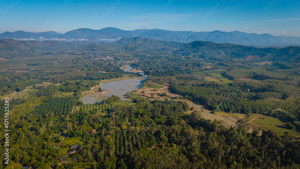 Fototapeta premium Aerial view tropical green forest tree with river canal morning sunrise