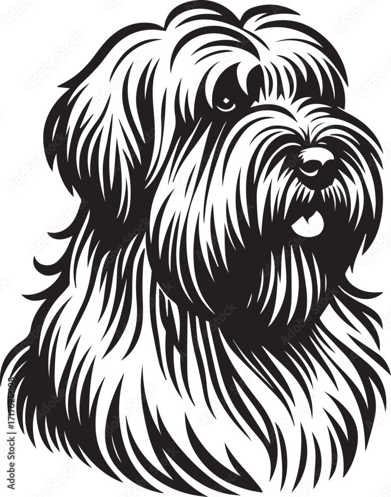 Fototapeta premium Briard Dog in Black and White – Elegant French Herding Breed Photography