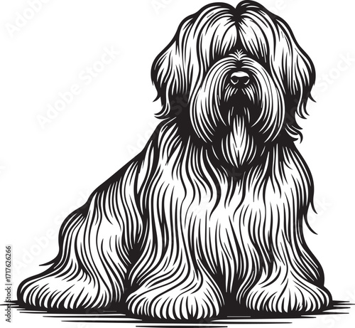 Briard Dog in Black and White – Elegant French Herding Breed Photography