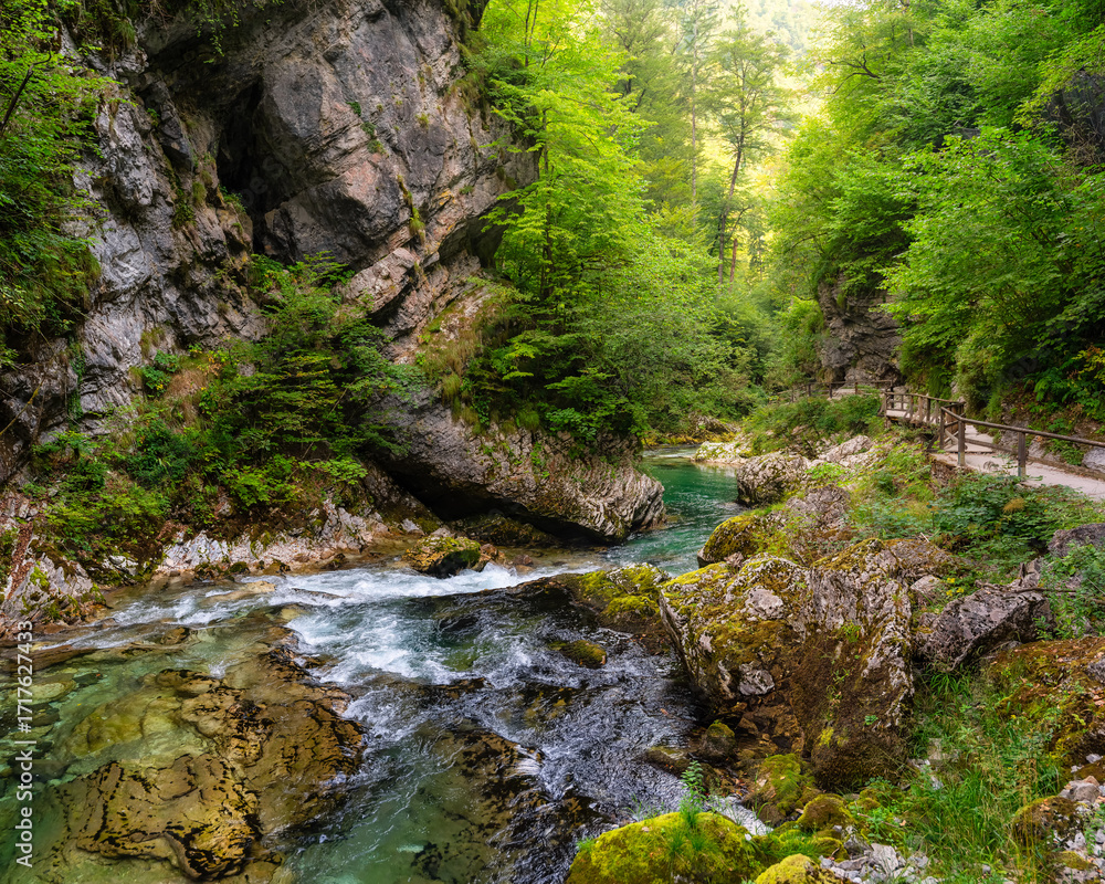 Obraz premium Wooden walkway by Count tourists circle to see the breathtaking beauty of Vintgar, Slovenia.