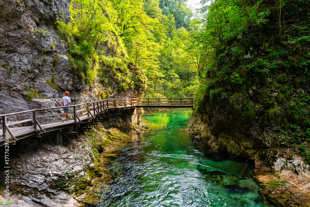 Φωτογραφία Hiker strolling along the walkways of the stunning scenery of the Vintgar Gorge, Slovenia