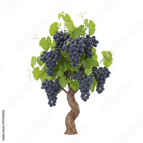 Vineyard s Bounty A Lush Grapevine on a Twisting Trunk Bursting with Ripe Clusters and Verdant on transparent background