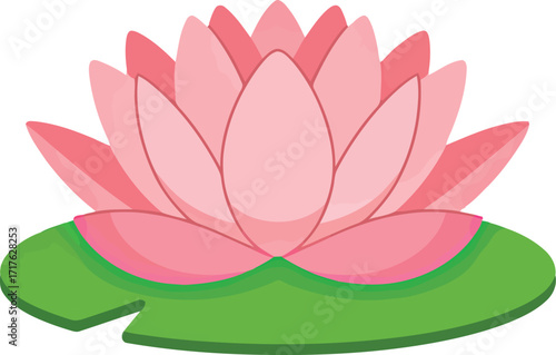Pink lotus flower blossom on green leaf water lily vector