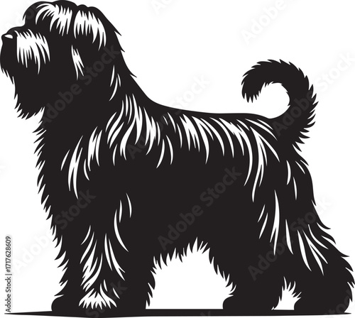 Briard Dog in Black and White – Elegant French Herding Breed Photography