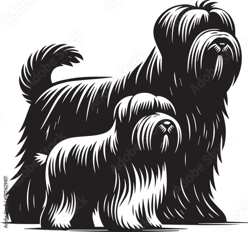 Briard Dog in Black and White – Elegant French Herding Breed Photography