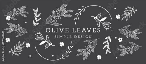 Elegant botanical illustrations of olive branches showcasing rich detail and fine line work