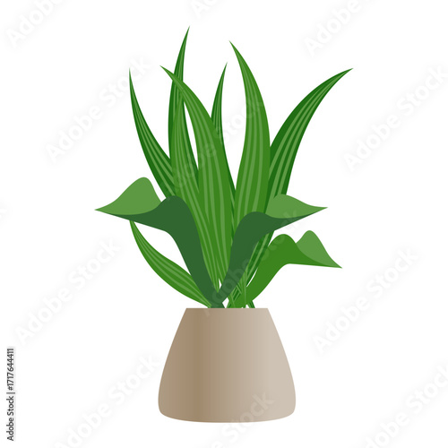 Green Snake Plant in a Brown Pot A Simple, Clean Vector Illustration