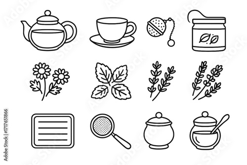 Leaf vector leaves chamomile icon lavender herbal mint glass sugar tea