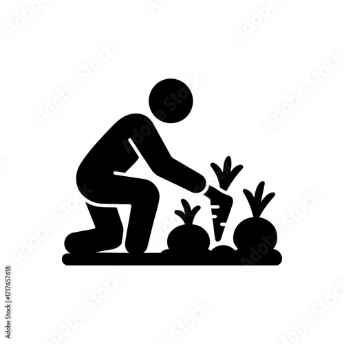 Harvesting vegetables from garden icon