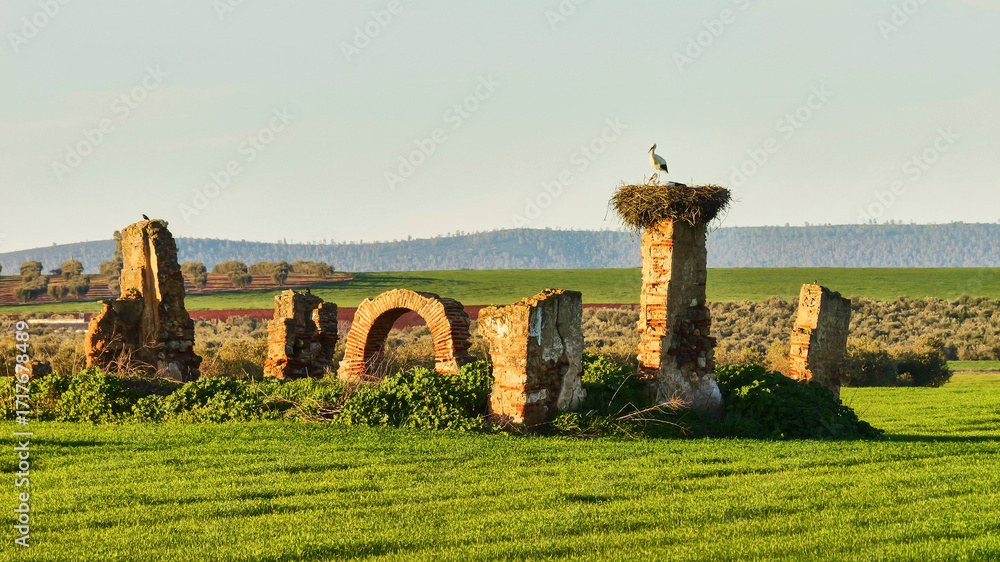 Φωτογραφία pair of white stork, Ciconia ciconia, on huge nest on part of picturesque ruin 3