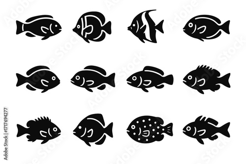 Coral goby icon hawkfish icons triggerfish reef angelfish pufferfish vector damselfish surgeonfish