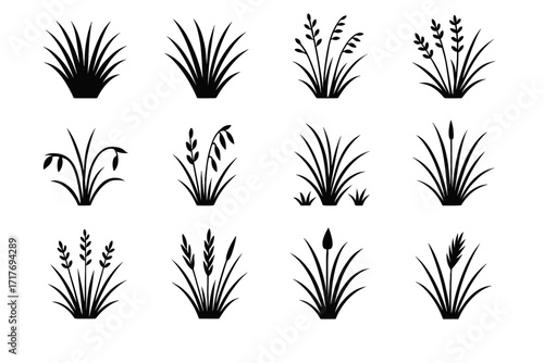 Grass grama desert vector icons alkali blue sand galleta flora icon indian