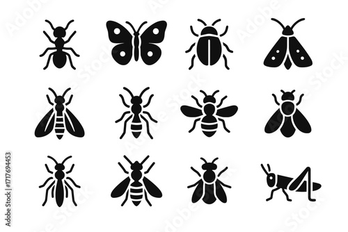 Beetle icon glacier snow bee vector insects butterfly fly alpine mountain