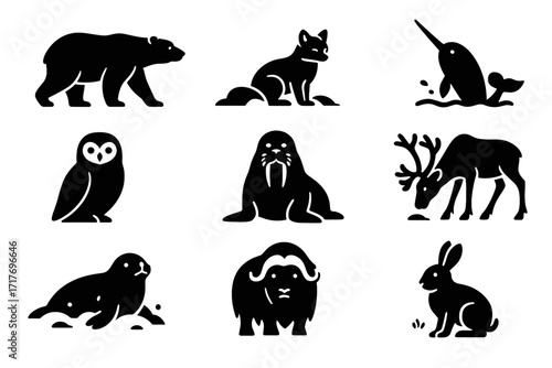 Polar vector icon icons narwhal animal seal reindeer arctic walrus walking front